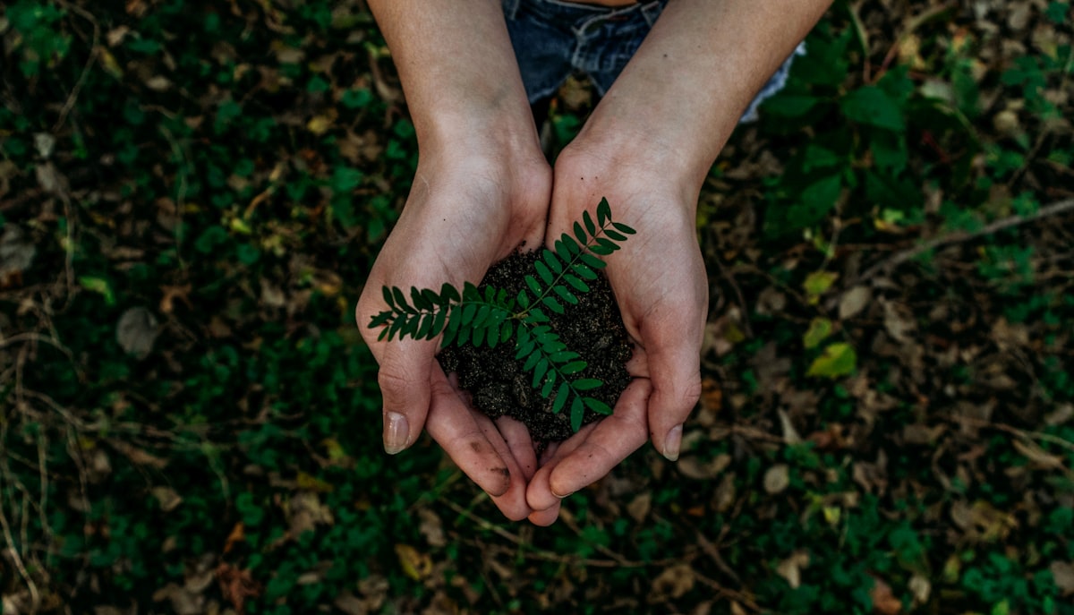 Green Living Co.